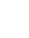 Texas Appleseed Logo